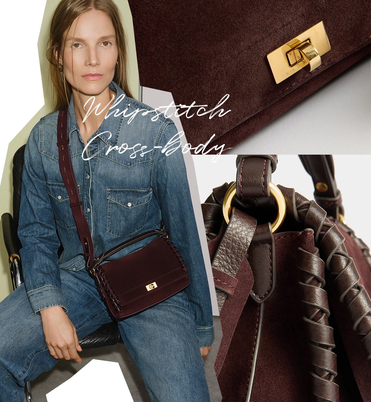 What's New: Mortimer