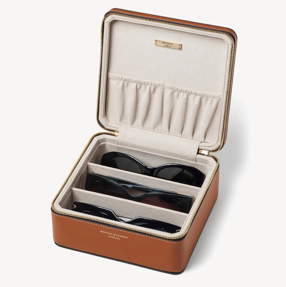 Travel Sunglasses Case