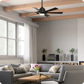 Ceiling Fans