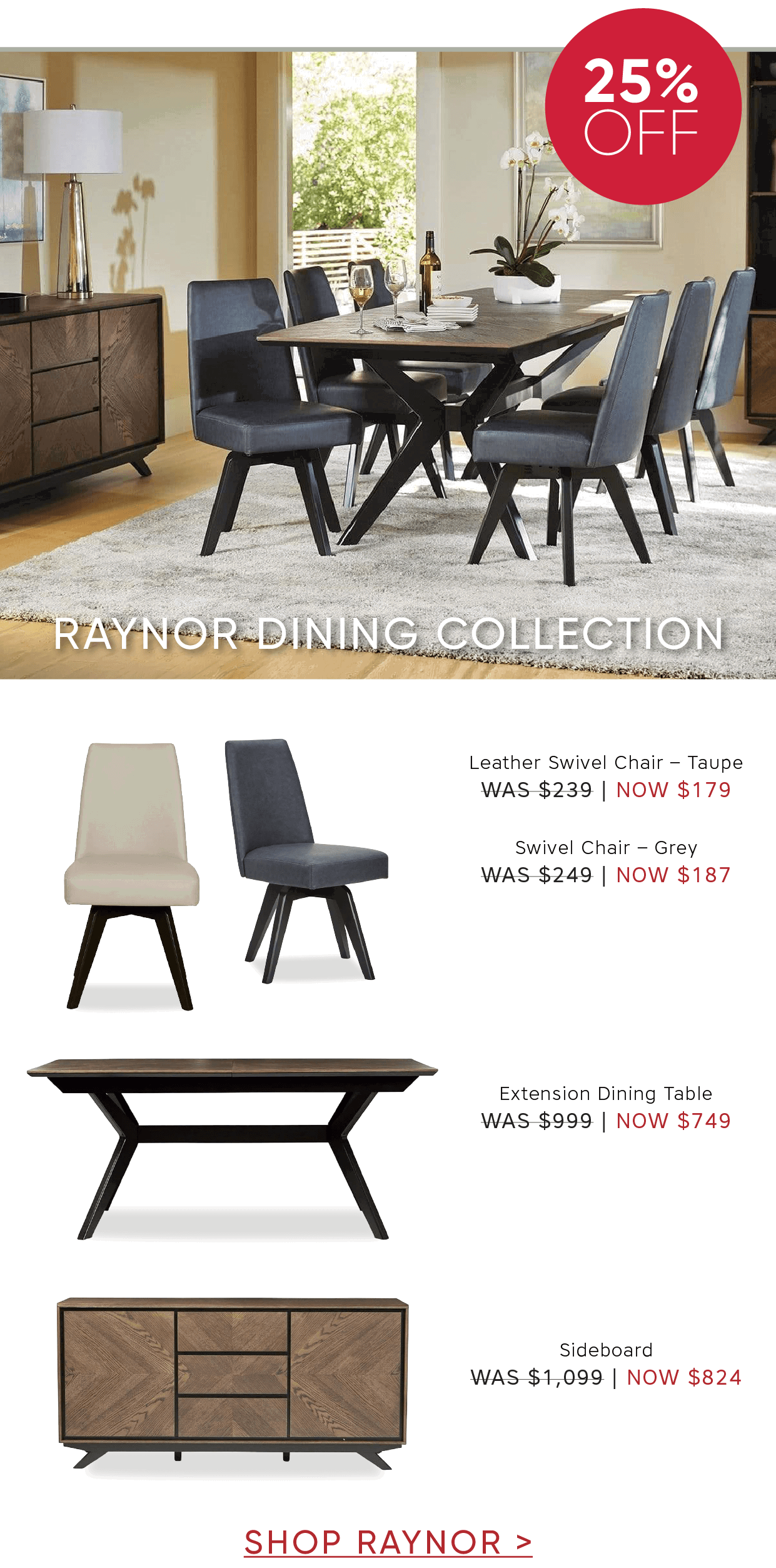 Shop Raynor Collection