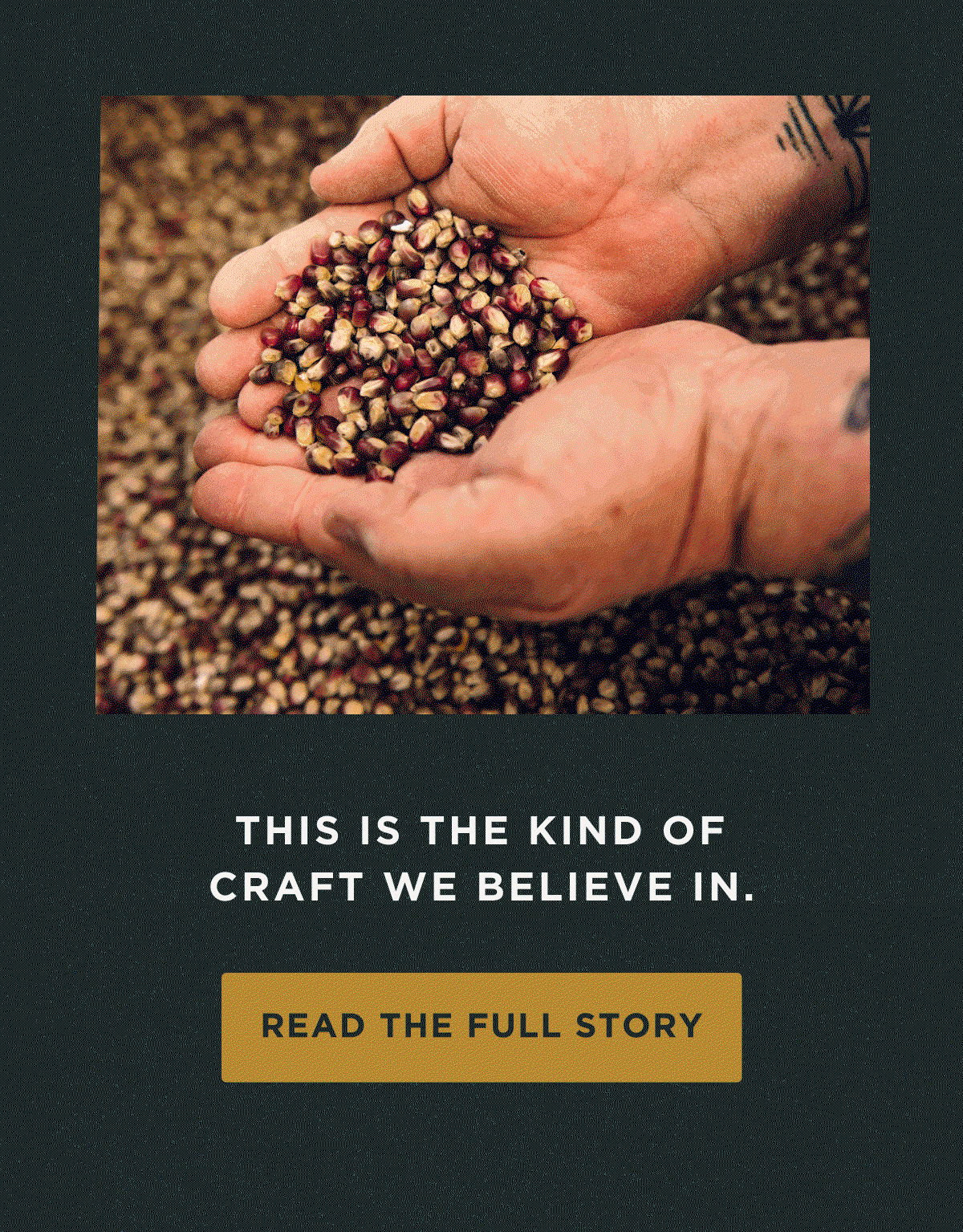 Read the Full Story