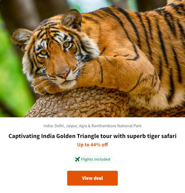 Captivating India Golden Triangle tour with superb tiger safari