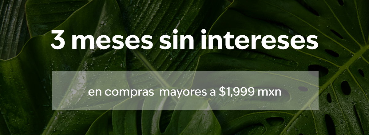 3 meses sin intereses