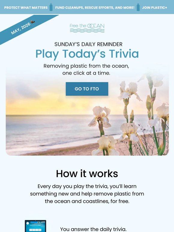 Play Sunday's Trivia + Remove Plastic from the Ocean