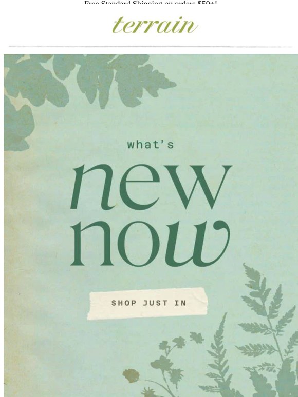 New arrivals, just in time for summer