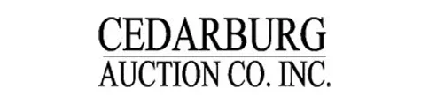 Auctioneer logo