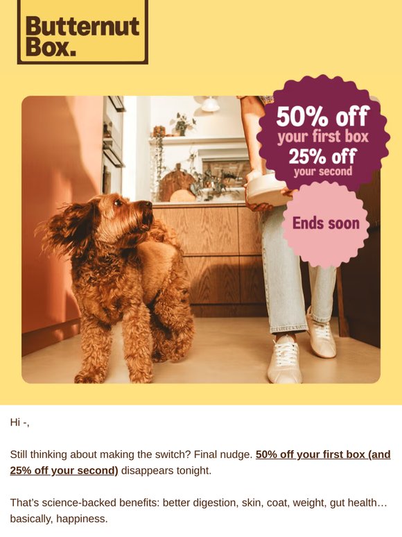 Haru's double discount is ending 🐾