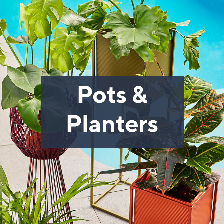 Pots & Planters 
