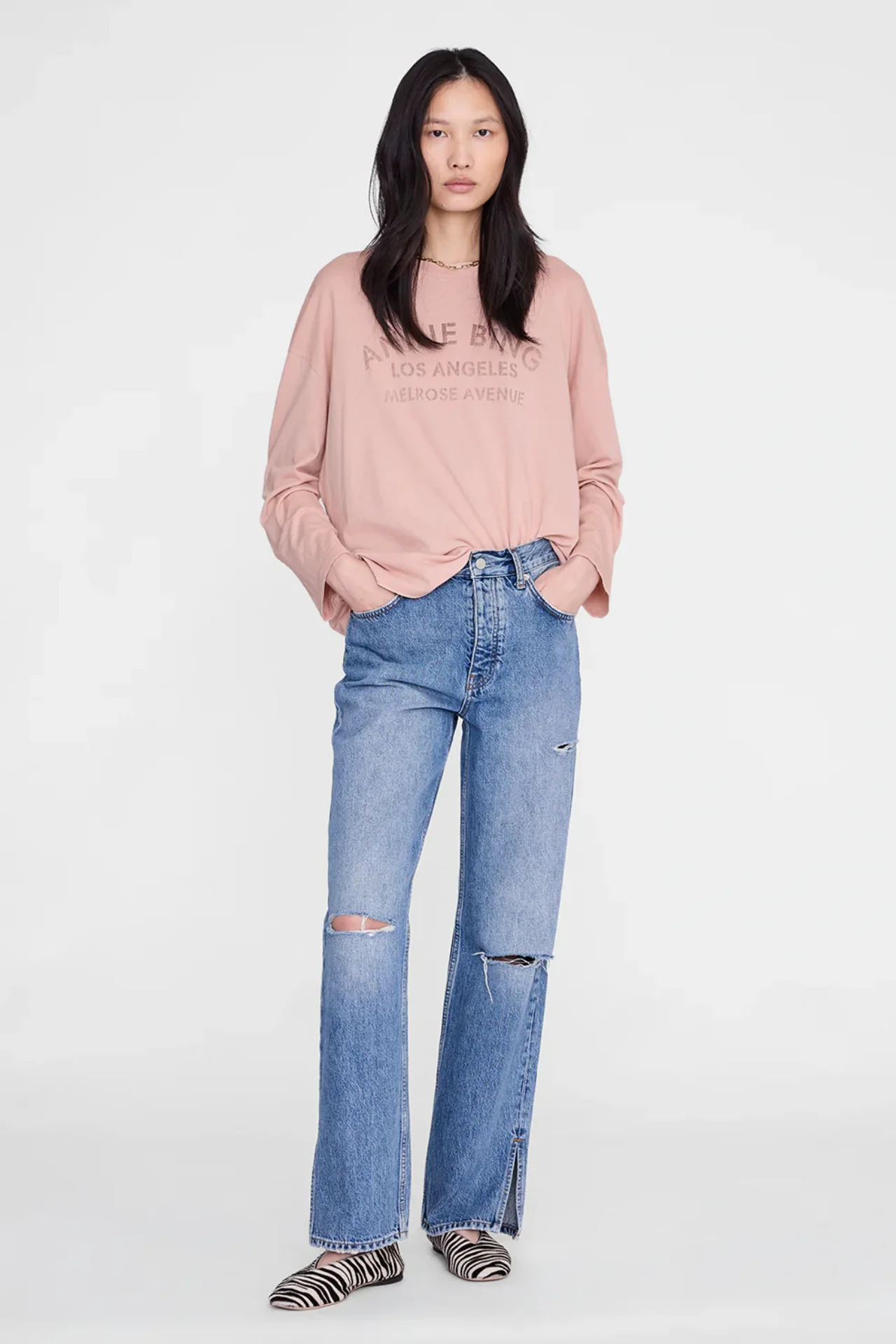 Image of Anine Bing Ivan Long Sleeve Melrose Stencil Washed Blush