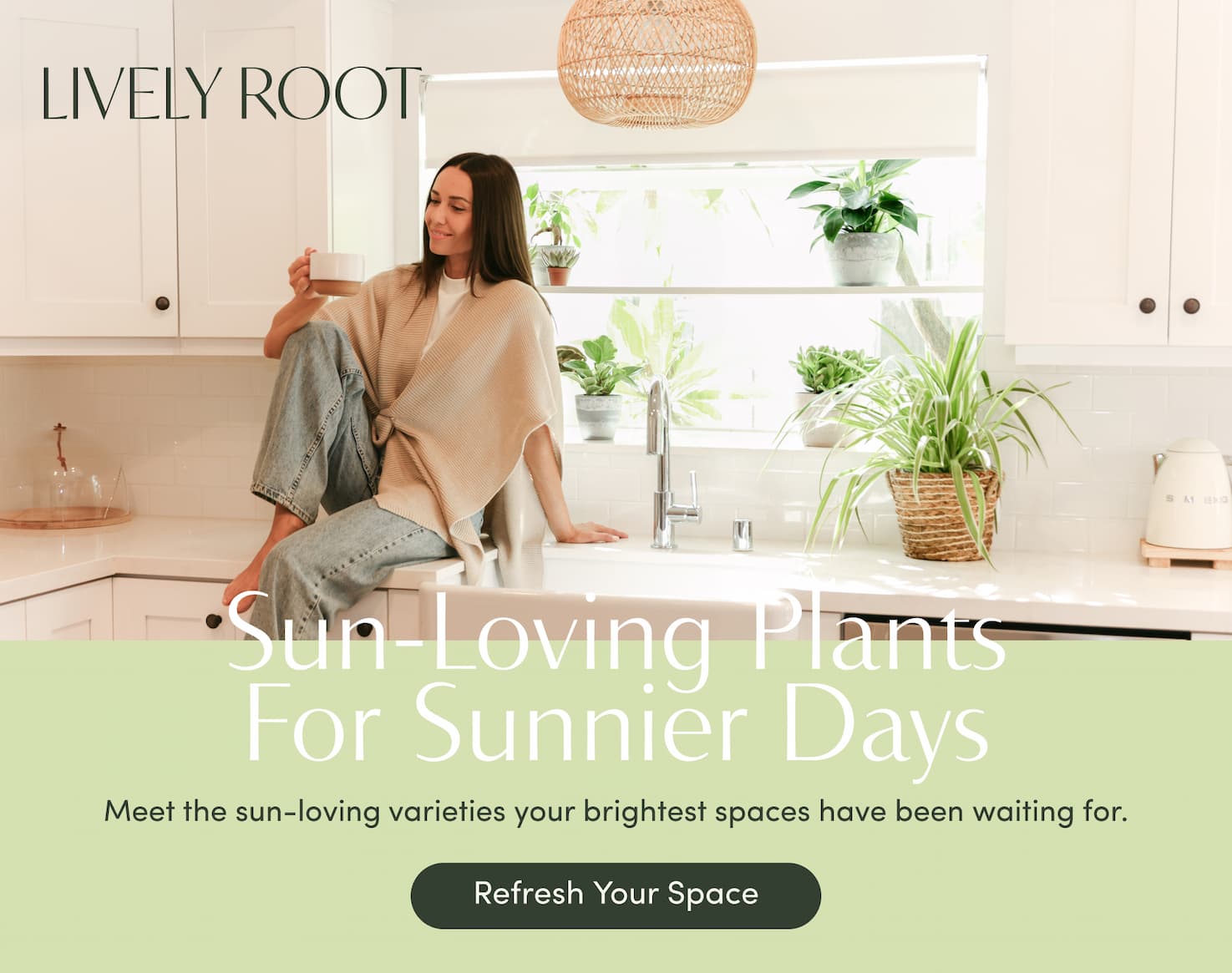 sun-loving plants