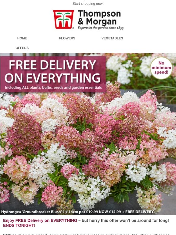 ENDS TONIGHT... FREE DELIVERY on EVERYTHING!