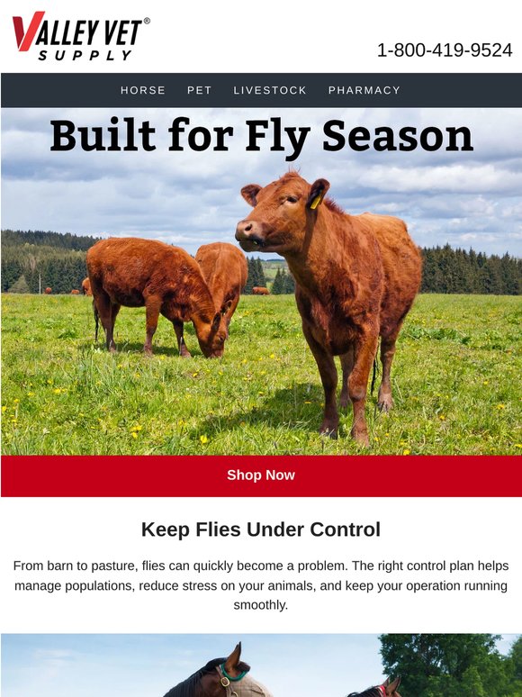 Protect Your Animals from Pests