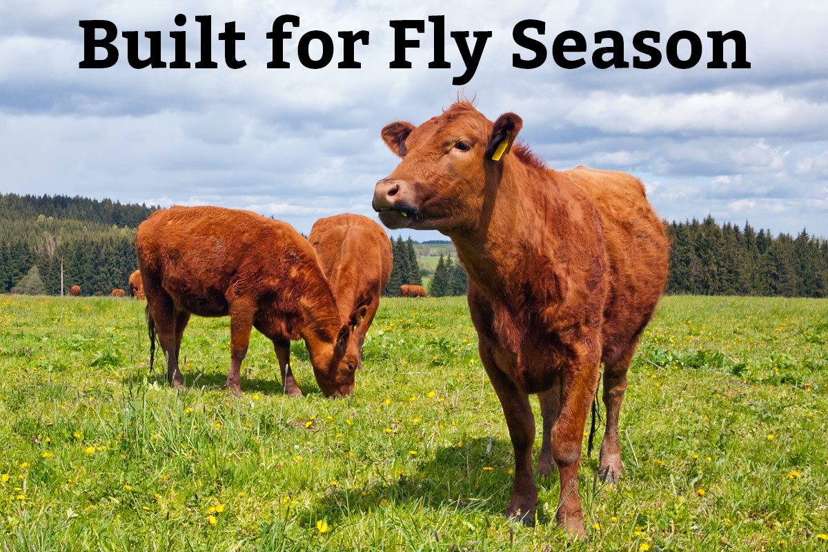 Built for Fly Season - Shop Now