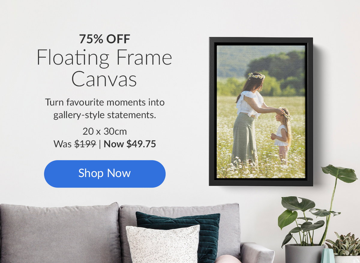 75% OFF Floating Frame Canvas