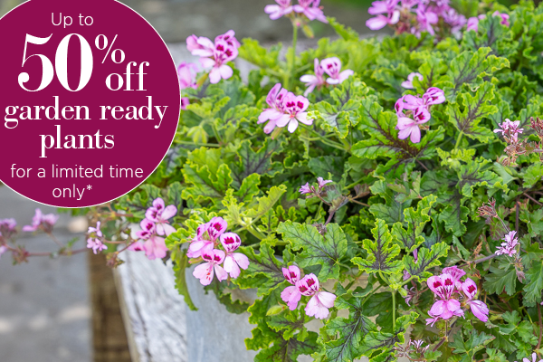 Up to 50% off garden ready plants, for a limited time only*