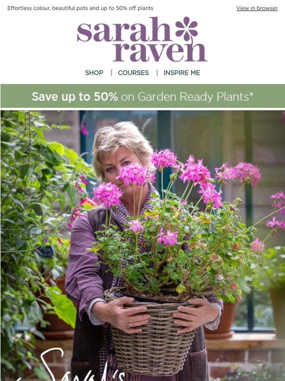 Why Sarah loves Pelargoniums 💗