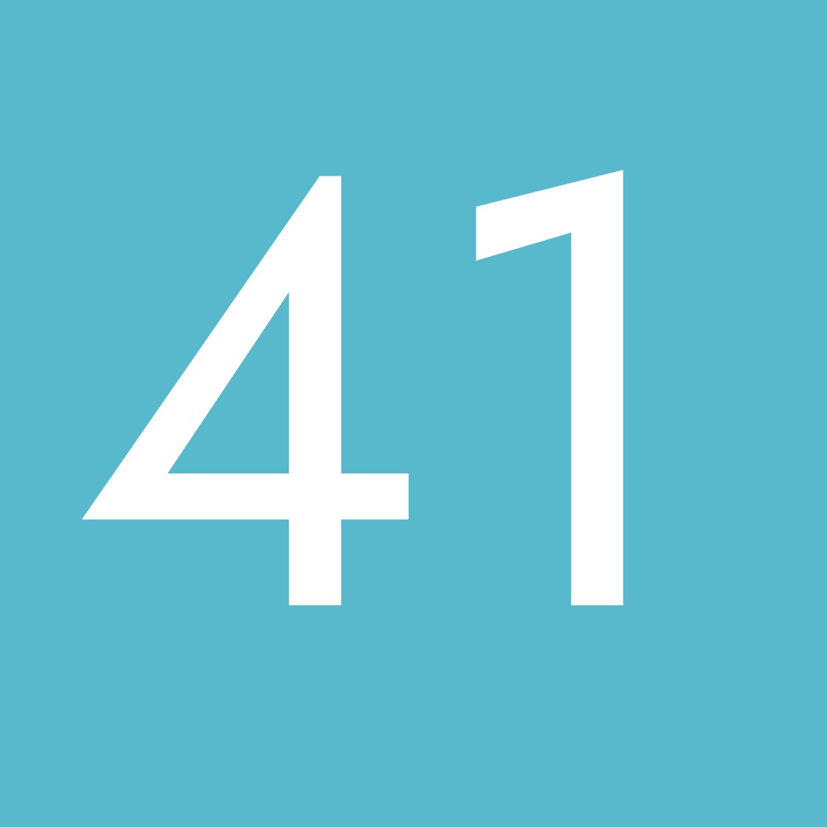 Größe 41 