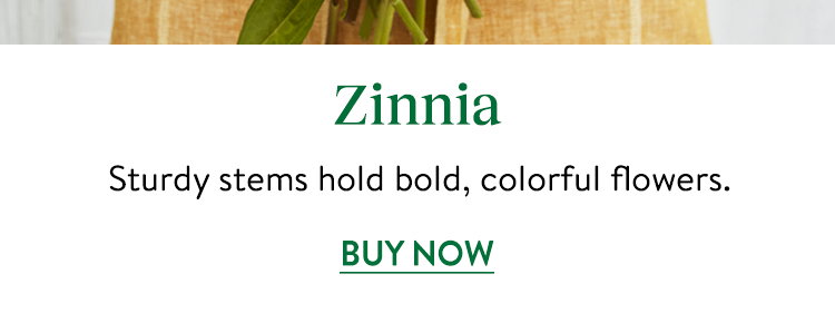 Zinnia Seeds & Plants