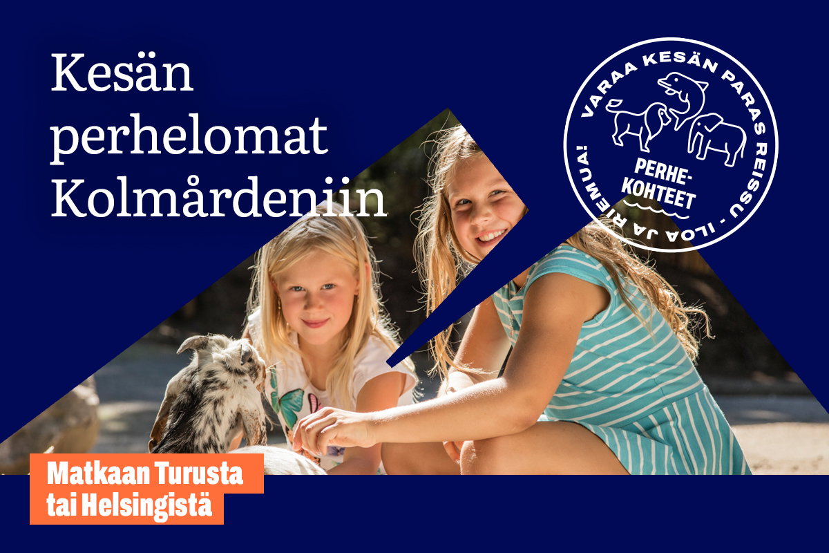 Kesän erikoisristeilyt