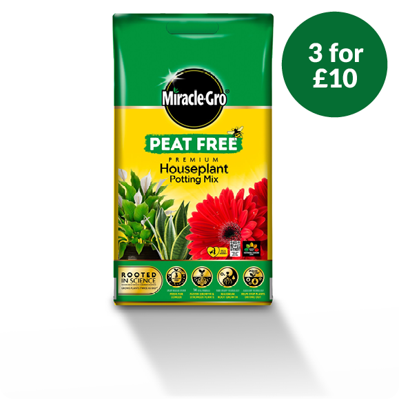 3 for £10