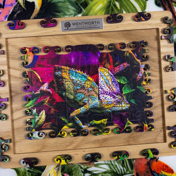 Chameleon - Mini-Mindful Puzzle