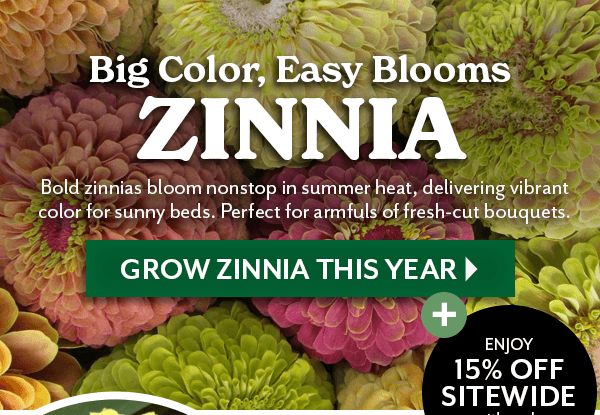 Big Color, Easy Blooms ZINNIA + 25% OFF with code GROW25