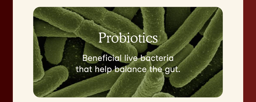 Probiotics are beneficial live bacteria that help balance the gut.