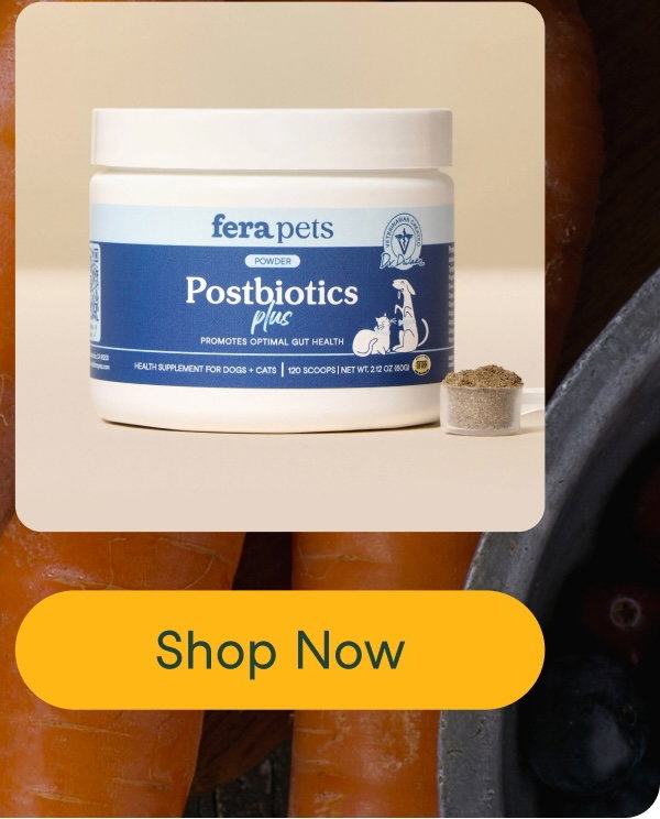 Postbiotics Plus
