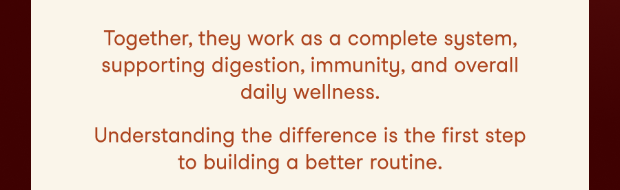 Together, they work as a complete system, supporting digestion, immunity, and overall daily wellness.