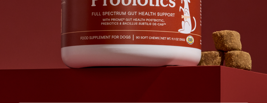 And why your pet may benefit from all three.