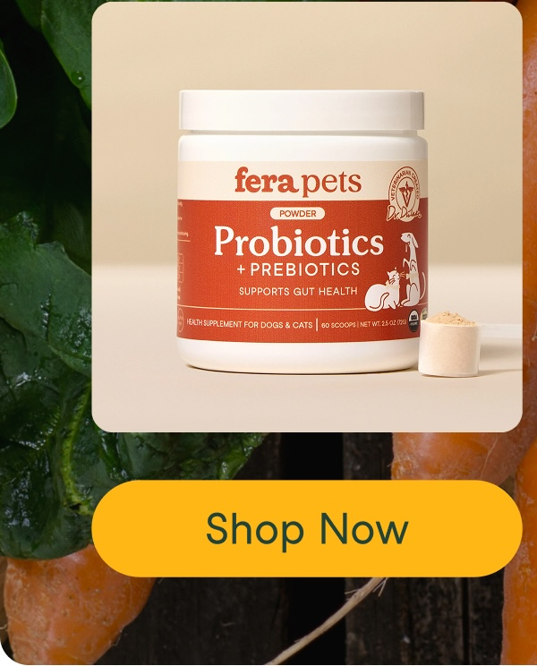 USDA Organic Probiotics with Prebiotics