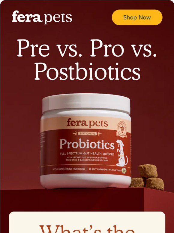Pre, Pro, Post…What Does Your Pet Actually Need?