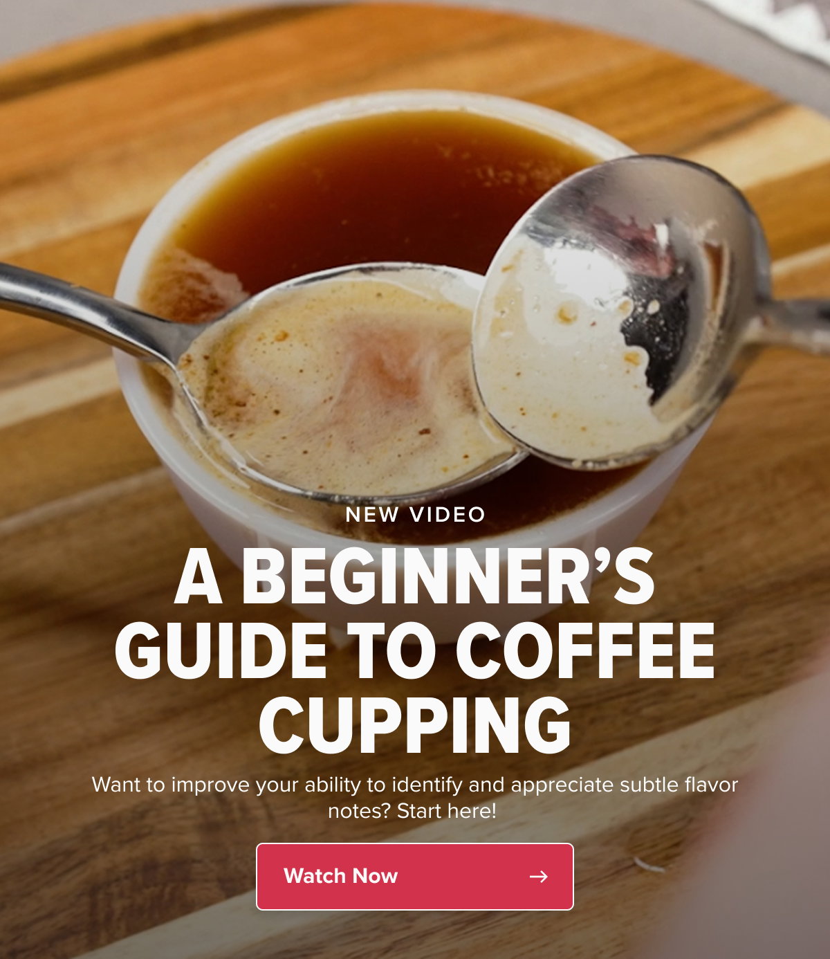 NEW VIDEO A BEGINNER’S GUIDE TO COFFEE CUPPING Want to improve your ability to identify and appreciate subtle flavor notes? Start here!  CTA: Watch Now