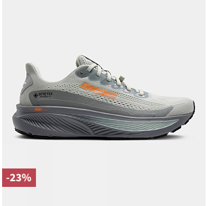 Mens Ghost 17 GTX Shoes