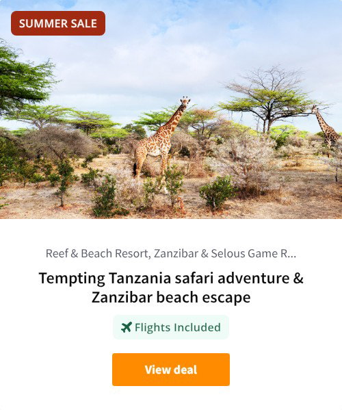 Tempting Tanzania safari adventure &amp; Zanzibar beach escape