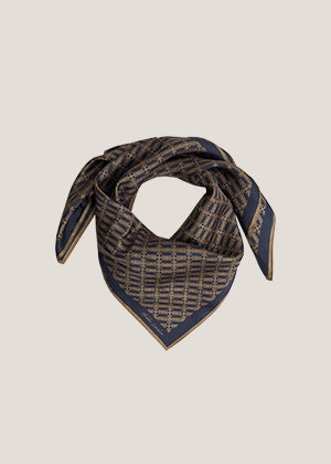 Bria Silk Scarf