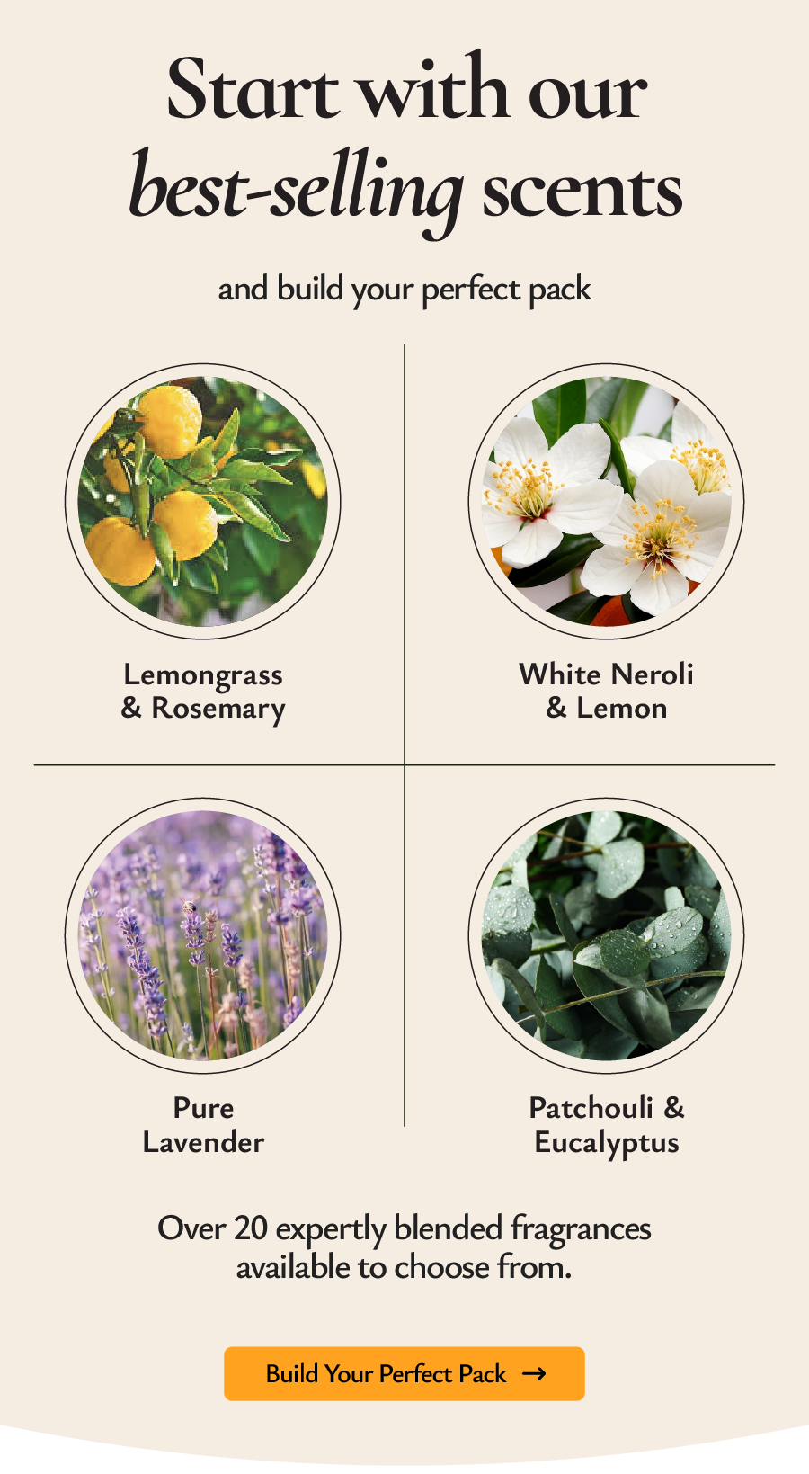 Start with our best-selling scents and build your perfect bundle.