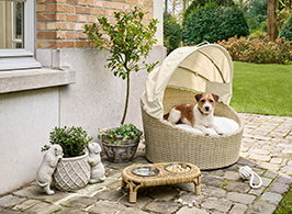 Unsere Must-Haves für Vierbeiner