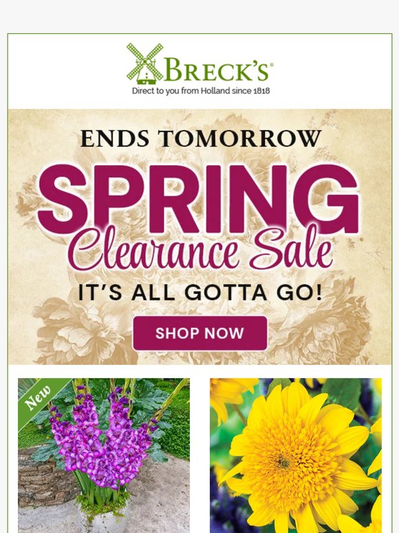 🔥 Up to 92% Off Our Remaining Spring Bulbs & Perennials