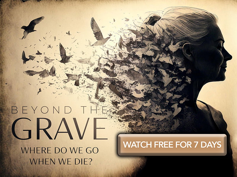 Feature Banner