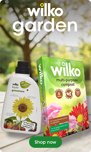 wilko garden