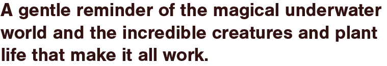 Our Island Family Design pays tribute to the strength of small communities