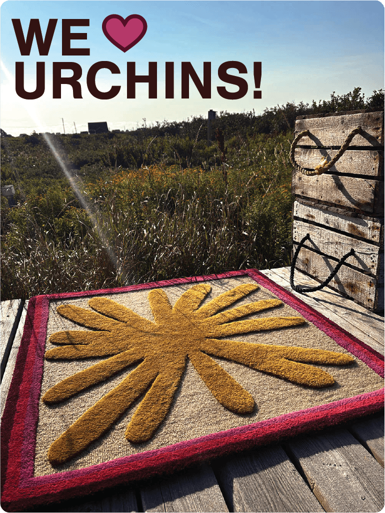 We Love Urchins!
