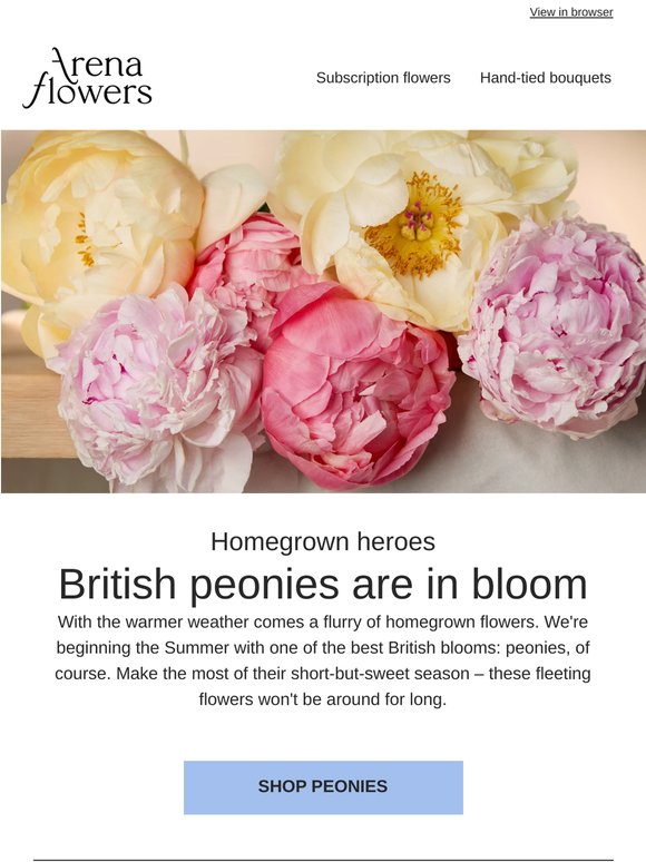 British peonies are here