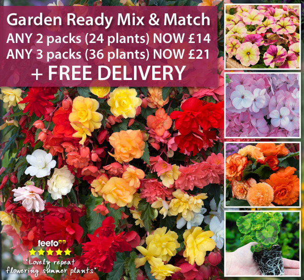 Garden Ready Mix & Match
