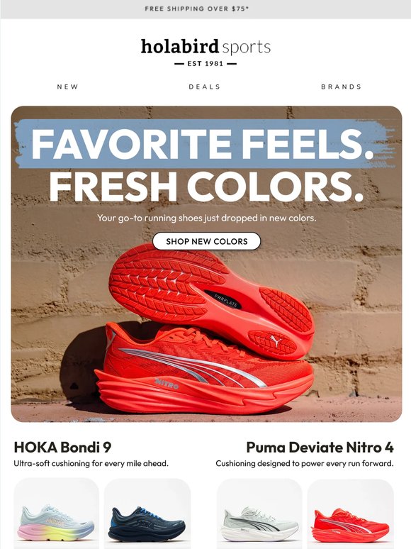 ❗Best Sellers, Fresh New Colors❗️