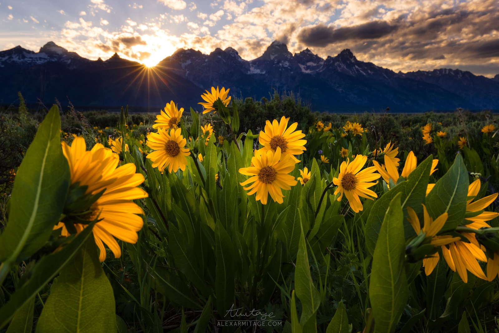 How To: Become a Travel Photographer