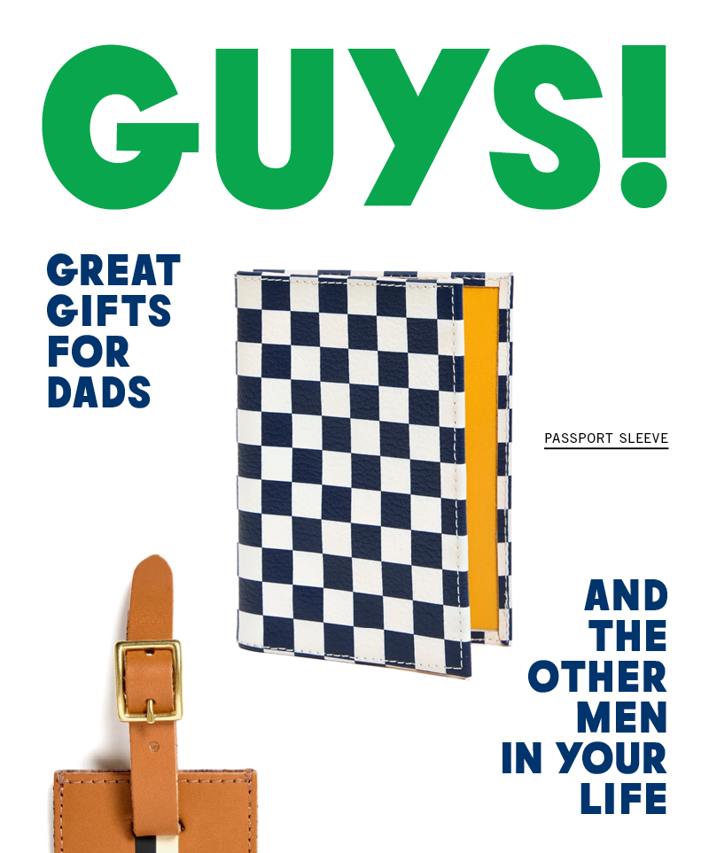 Passport Sleeve in Navy/Cream Checker