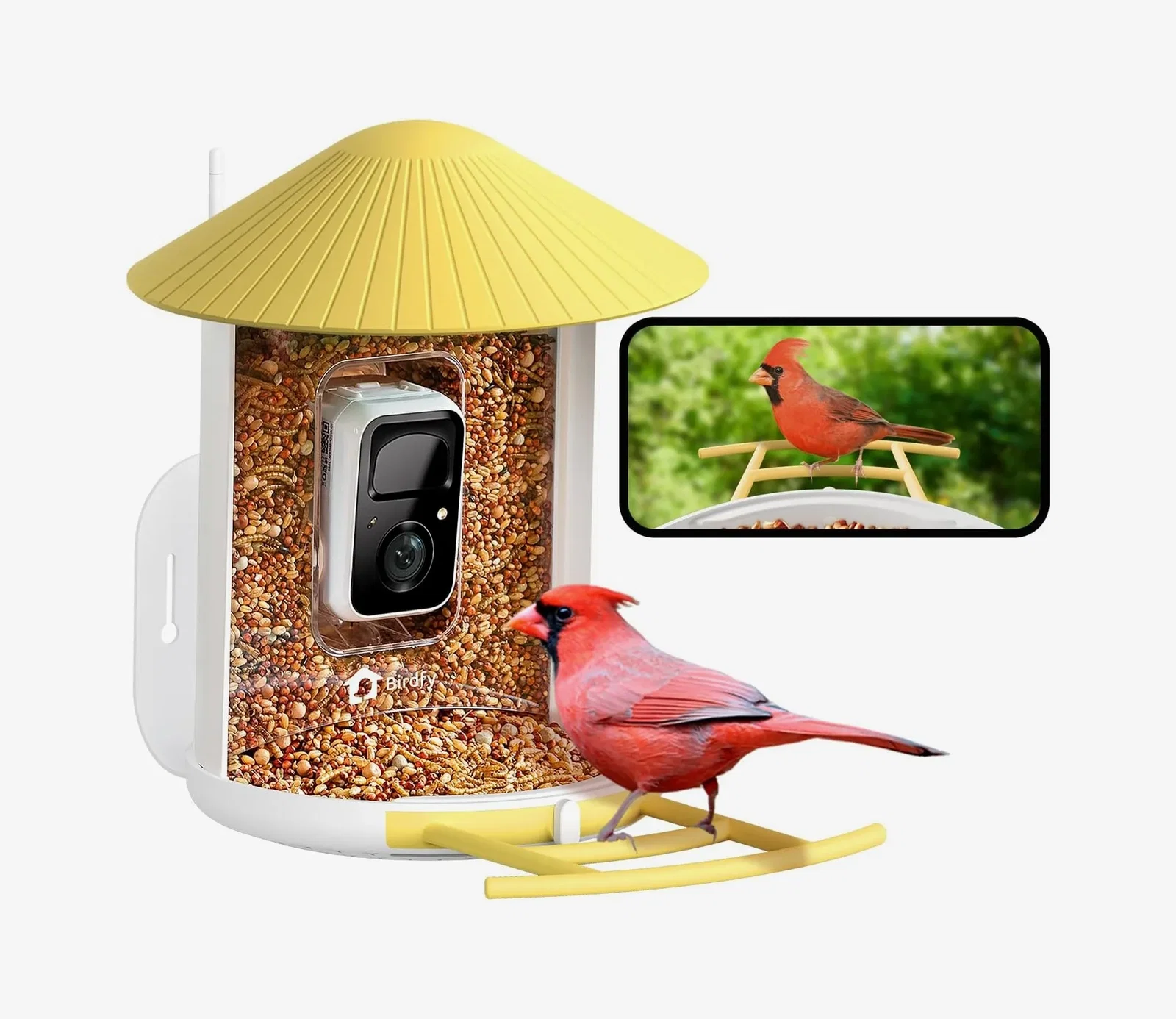 Birdfy Smart Bird Feeder