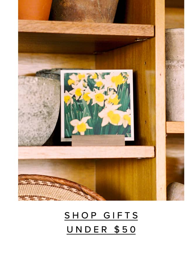 Shop gifts under $50